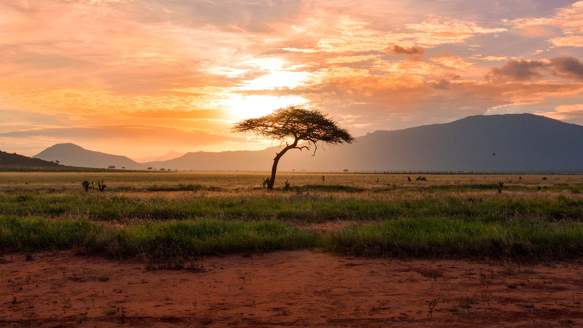 Afrika Titelbild