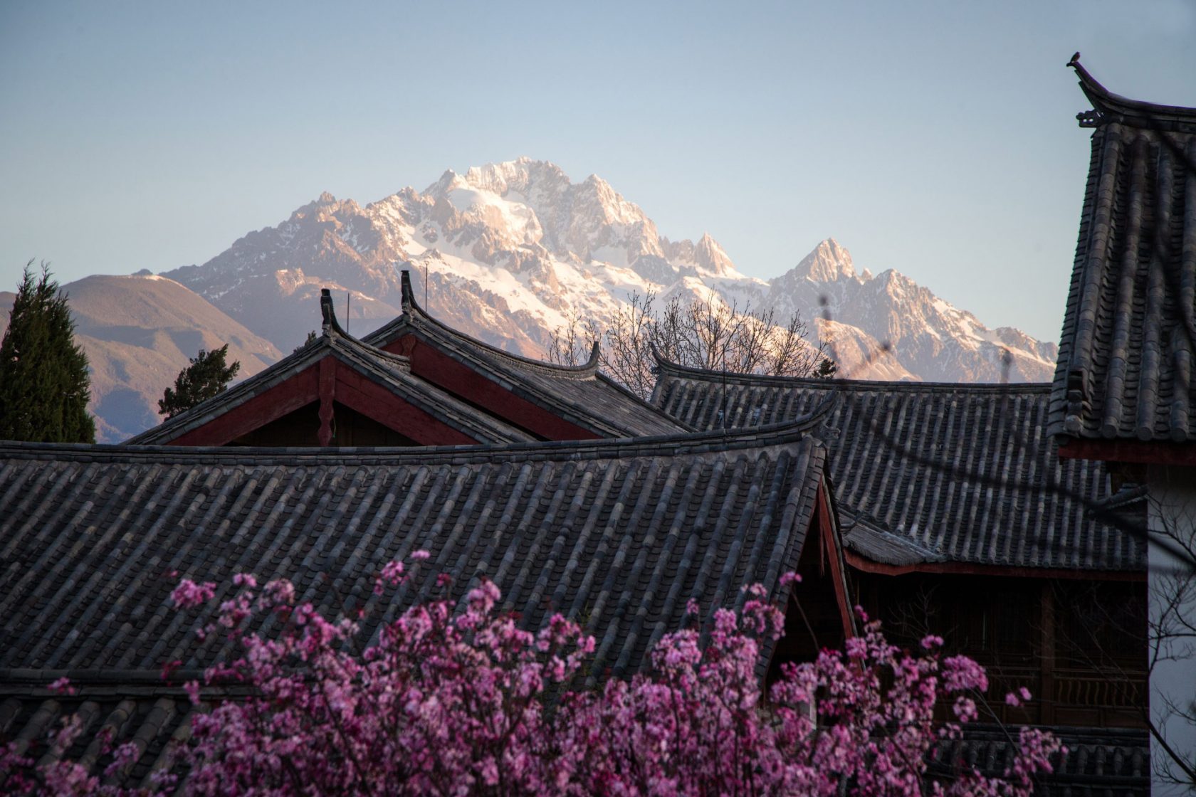 Amandayan China Jade Dragon Snow Mountain