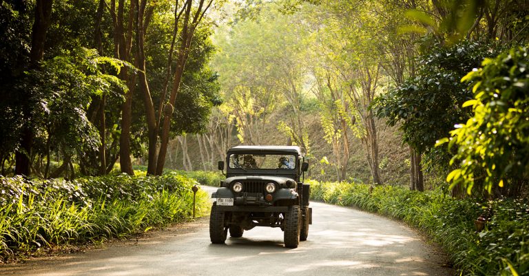 Anantara Golden Triangle Elephant Camp – Jeep