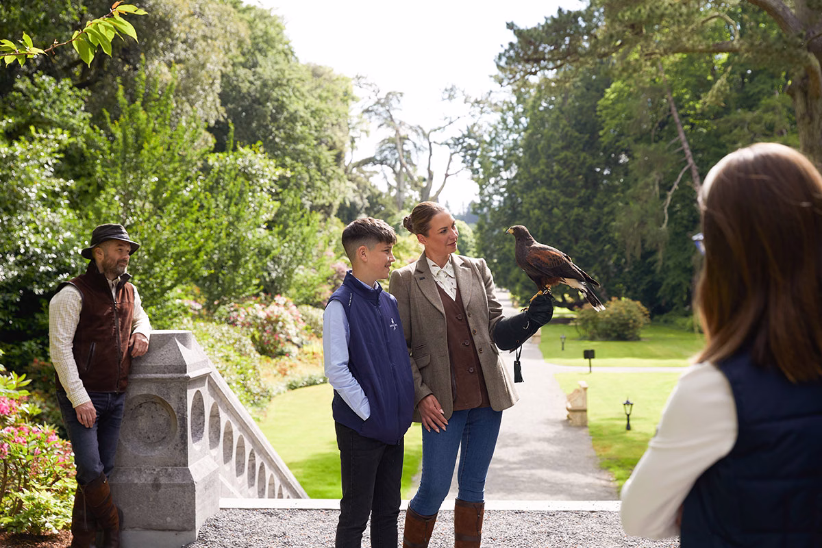 Falknerei im Ashford Castle