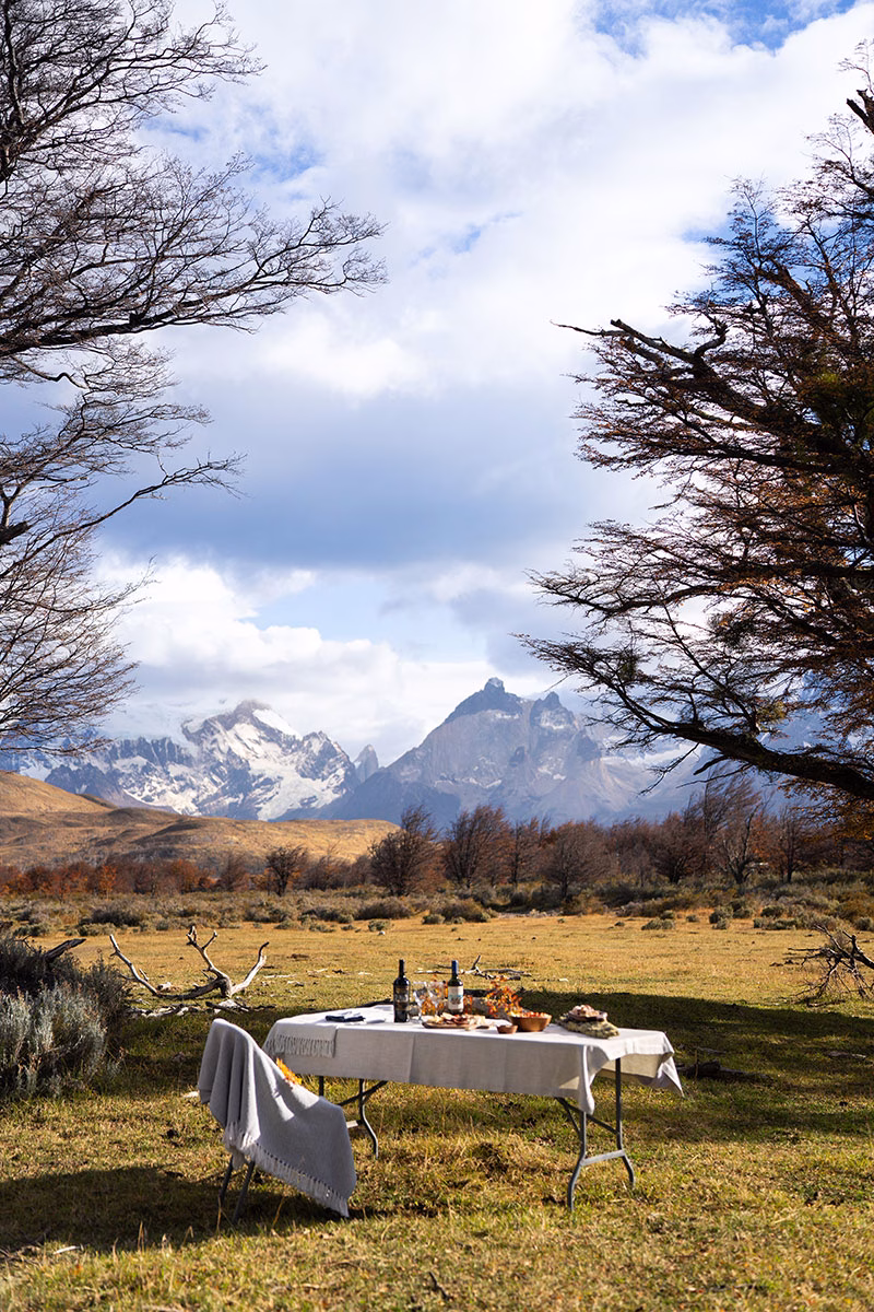 Ein elegant mit weißem Tischtuch gedeckter Picknicktisch mit Wein und Snacks auf einer Wiese im Awasi Patagonia, umrahmt von herbstlichen Bäumen vor den schneebedeckten Torres-del-Paine-Bergen
