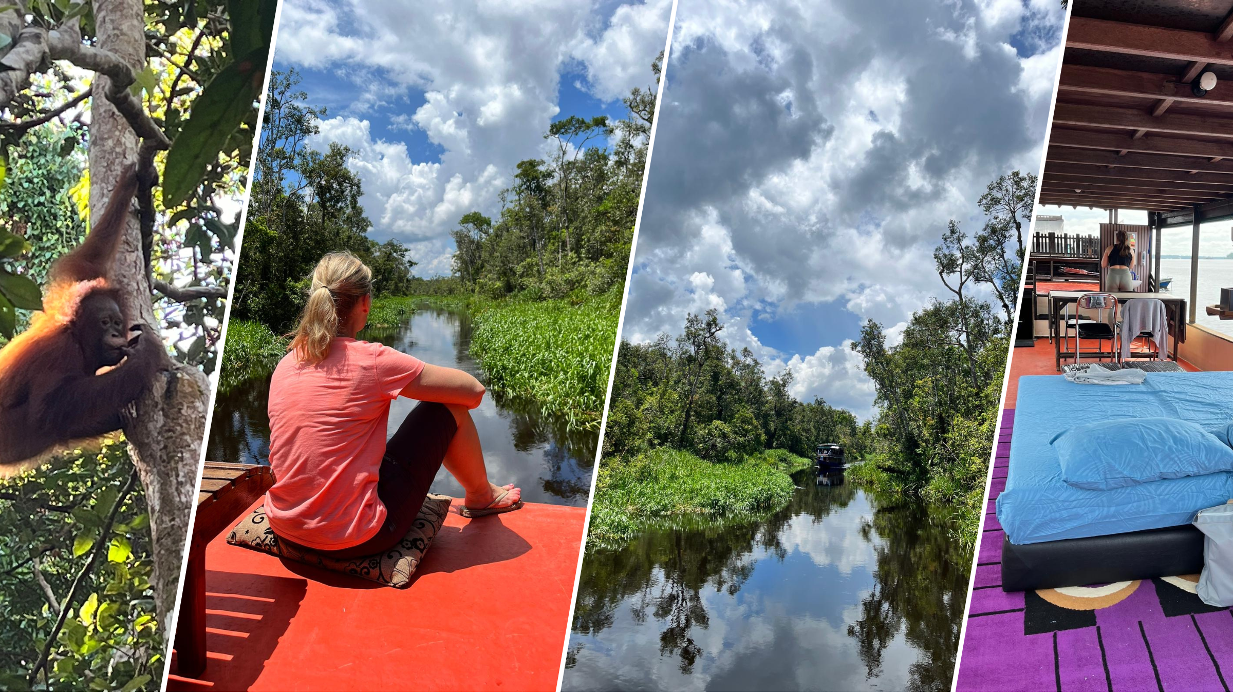 Blogbeitrag Borneo – Titelbild