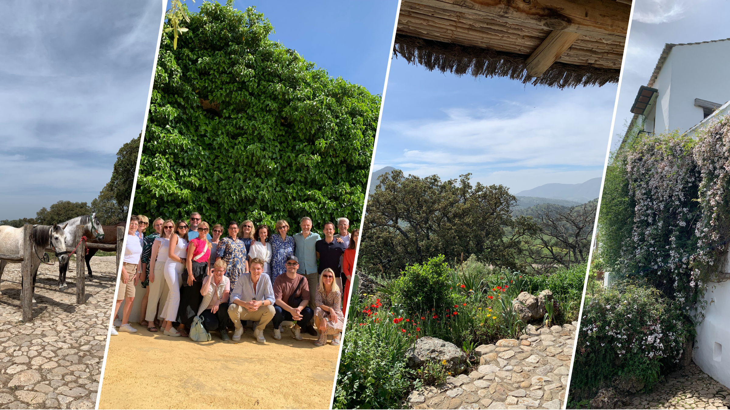 Blogbeitrag: Finca La Donaira, Spanien