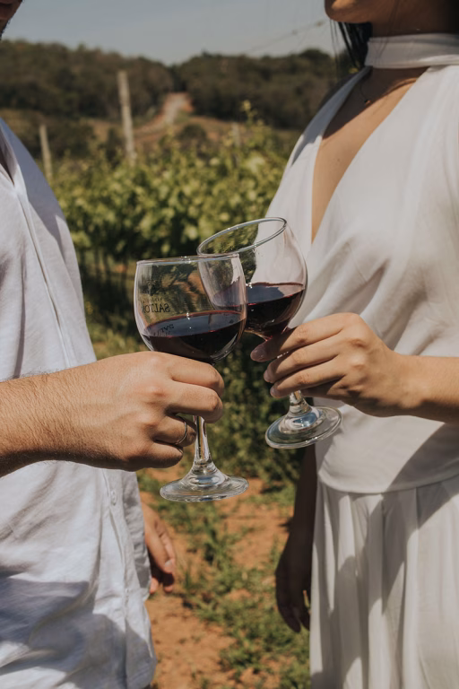Weintour zu privaten Domänen