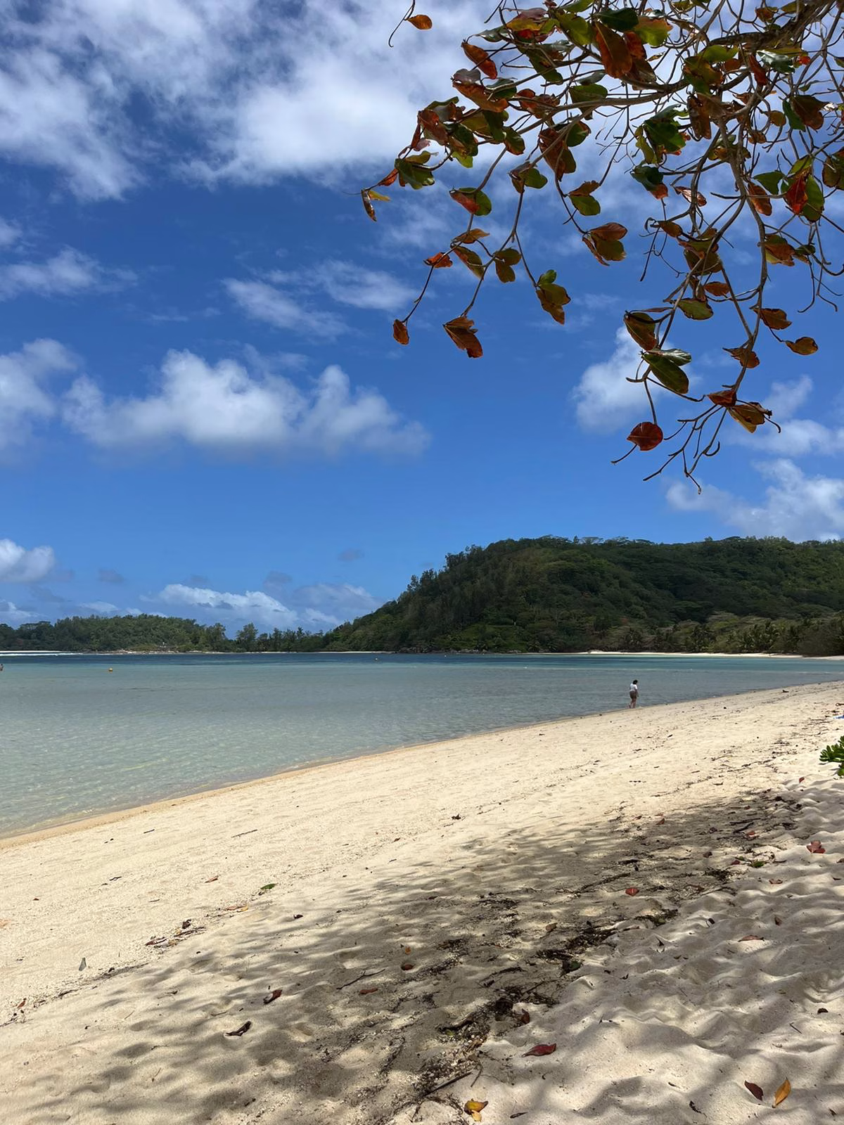 Strand im Constance Ephelia Seychelles