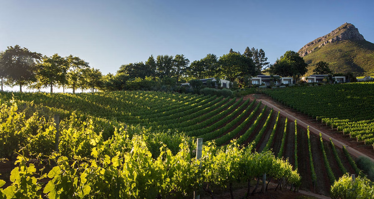 Weinberge des Delaire Graff Estate