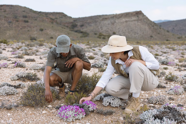 Guided Wilderness Walk – Flora hautnah