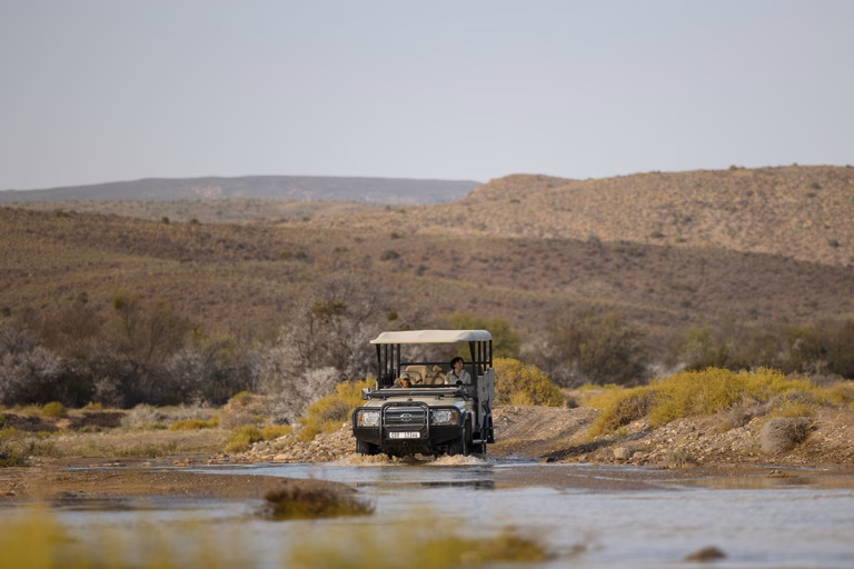 Nature Drive auf der Suche nach den Big Five