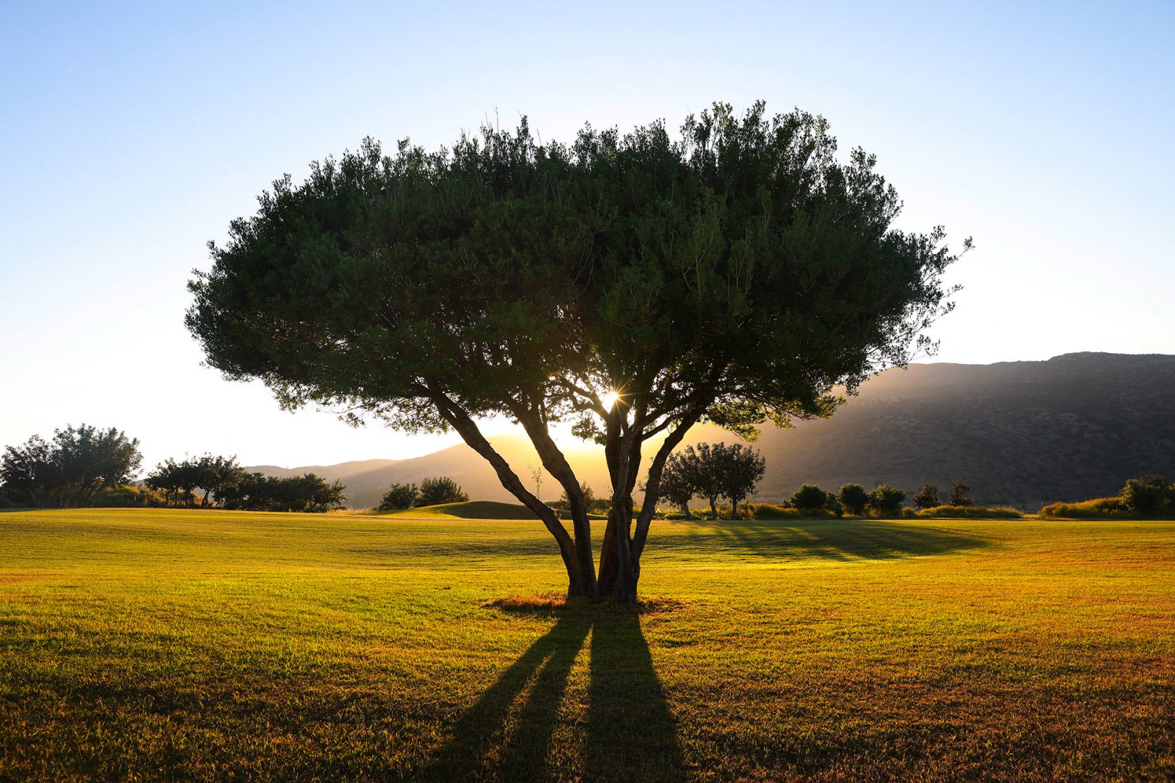 Golfreisen Griechenland: Golfurlaub an der Costa Navarino, Kreta, Korfu