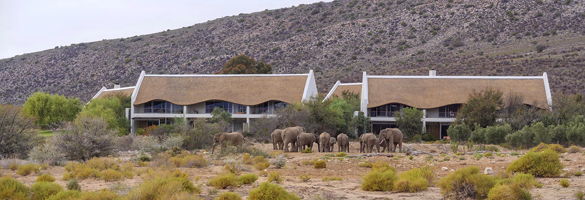 Außenansicht der Gondwana Family Lodge