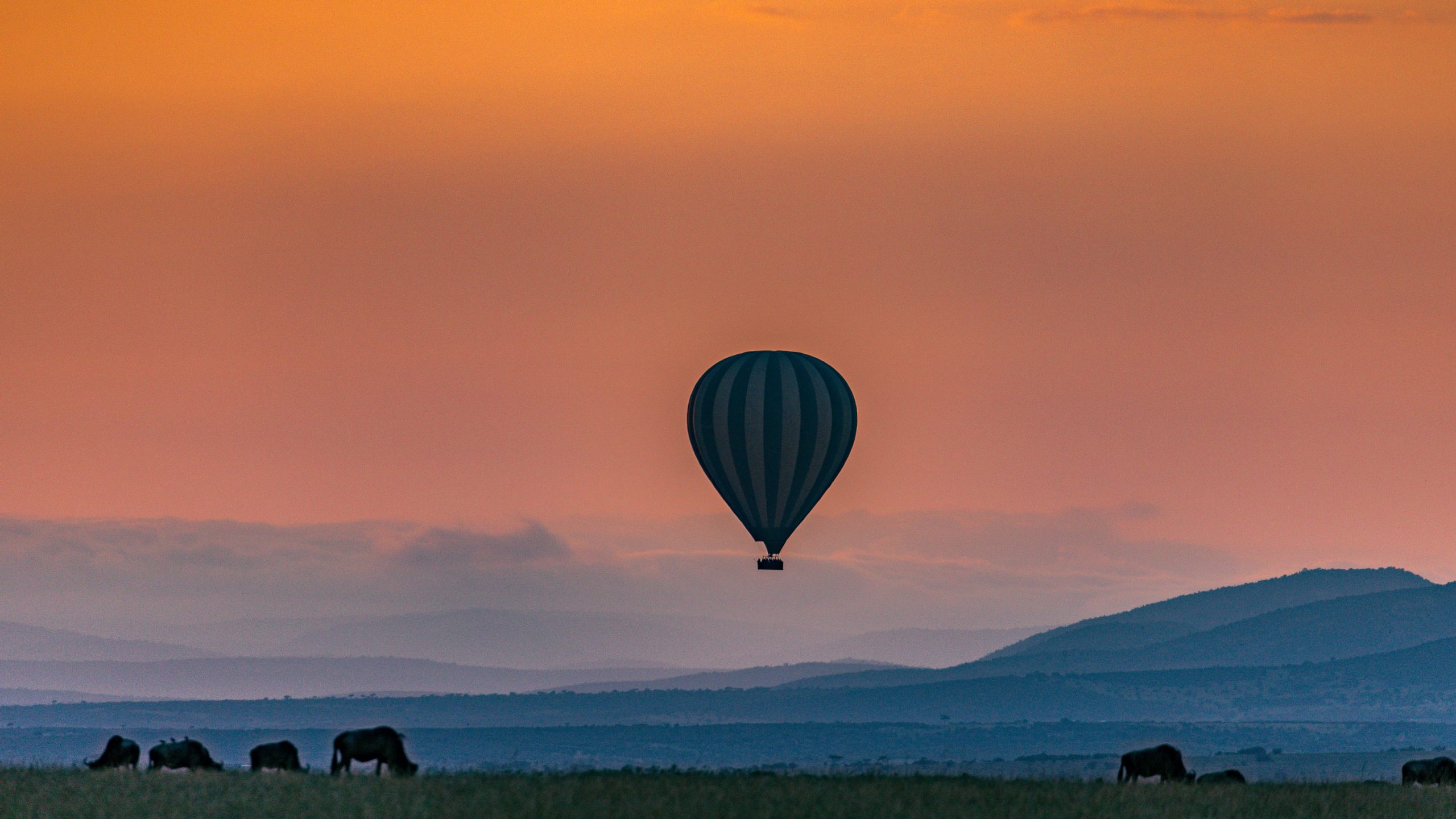 Heißluftballon fliegt im Sonnenuntergang