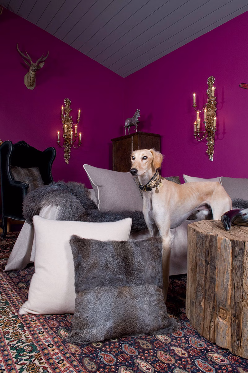 Hund im Kristiana Lech