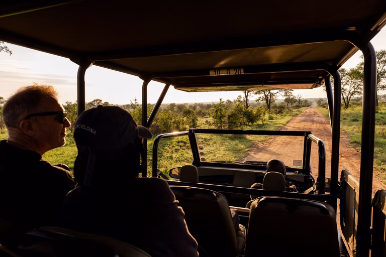 Pirschfahrt im Herzen des Kruger-Nationalparks