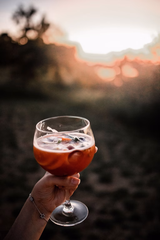Sundowner in der afrikanischen Wildnis