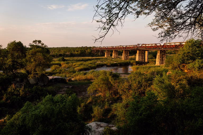 Kruger Shalati - The Train on the Bridge