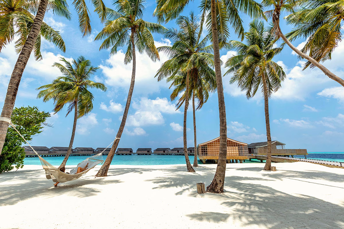 Wunderschöner Strand mit Palmen