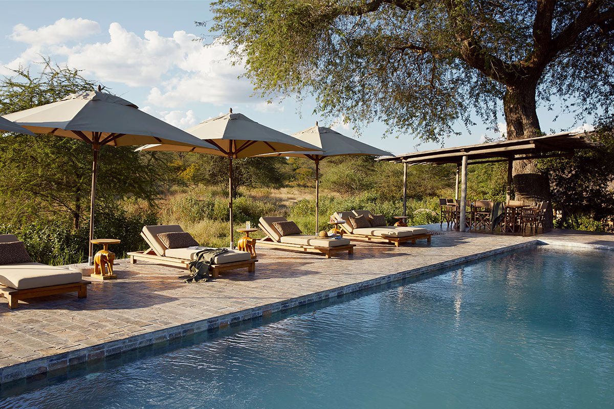 Pool des LABA Jongomero Private Bush Manor mit Baum, Liegen und Sonnenschirmen