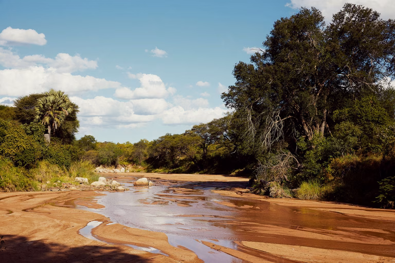 Expeditionswanderung entlang des Ruaha-Flusses