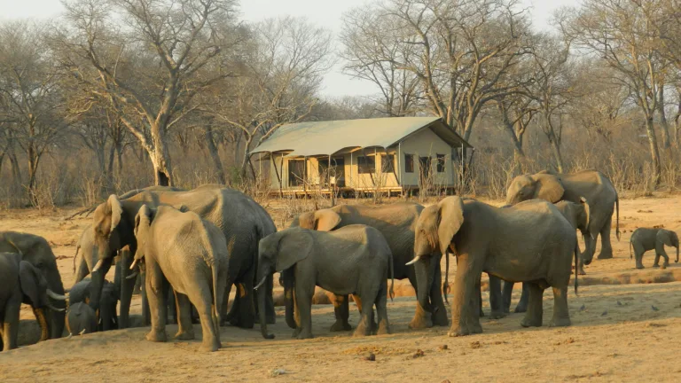 Luxushotels in Simbabwe, Botswana, Sambia & Malawi – DIE LUXUS REISEPROFIS