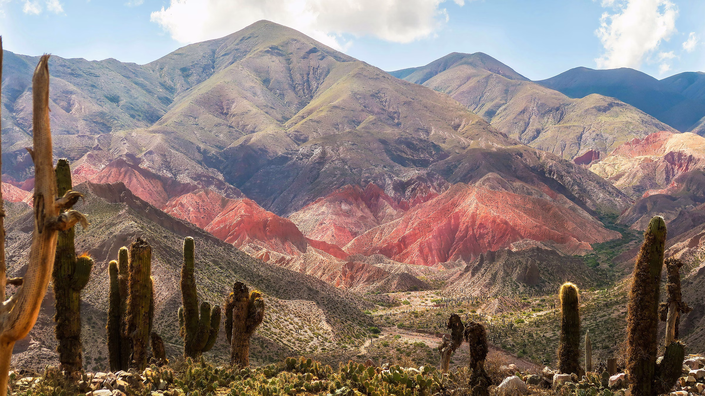 Kakteen in Jujuy in Argentinien