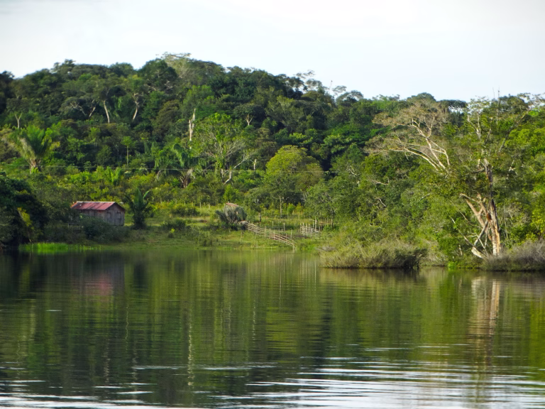 Amazonas in Brasilien
