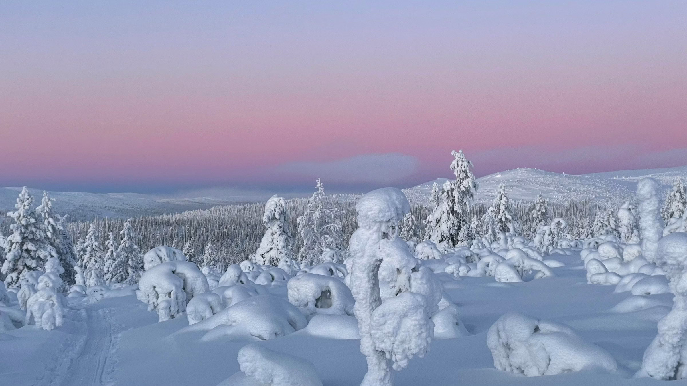 Schneebedeckte Wälder in Lappland bei Sonnenuntergang