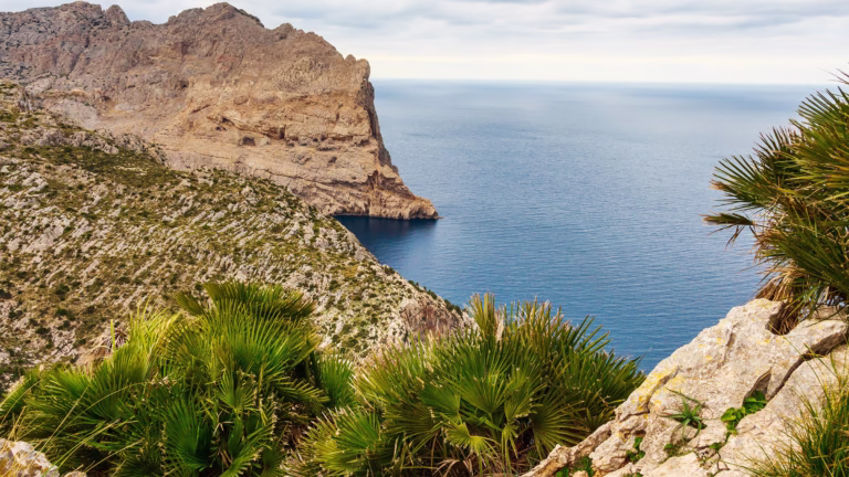 Formentor Tour auf Mallorca