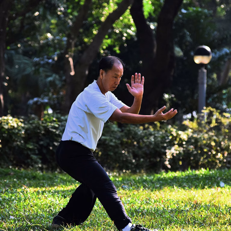 Tai Chi mit dem Kung-Fu-Meister