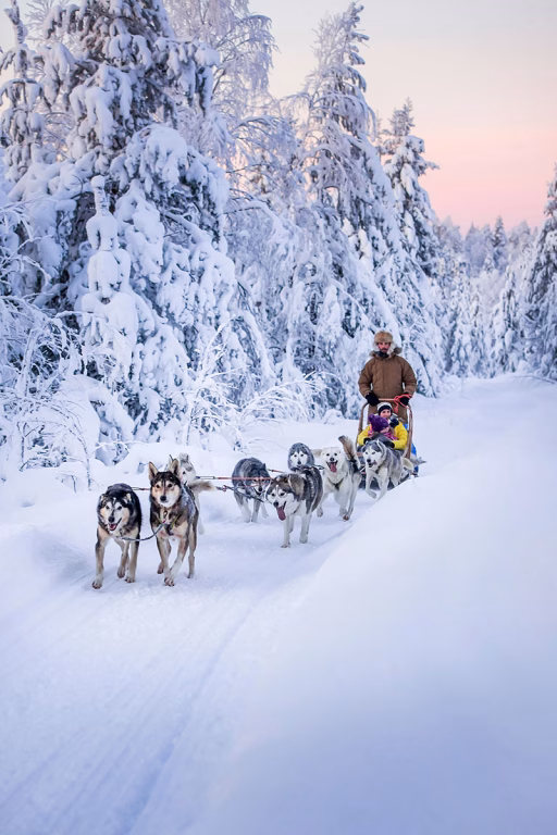 Huskyschlittenfahrt durch den Schnee