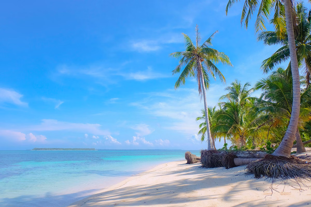 Traumhafter Strand mit Palmen, hellem Sand und türkisfarbenem Wasser auf Palawan
