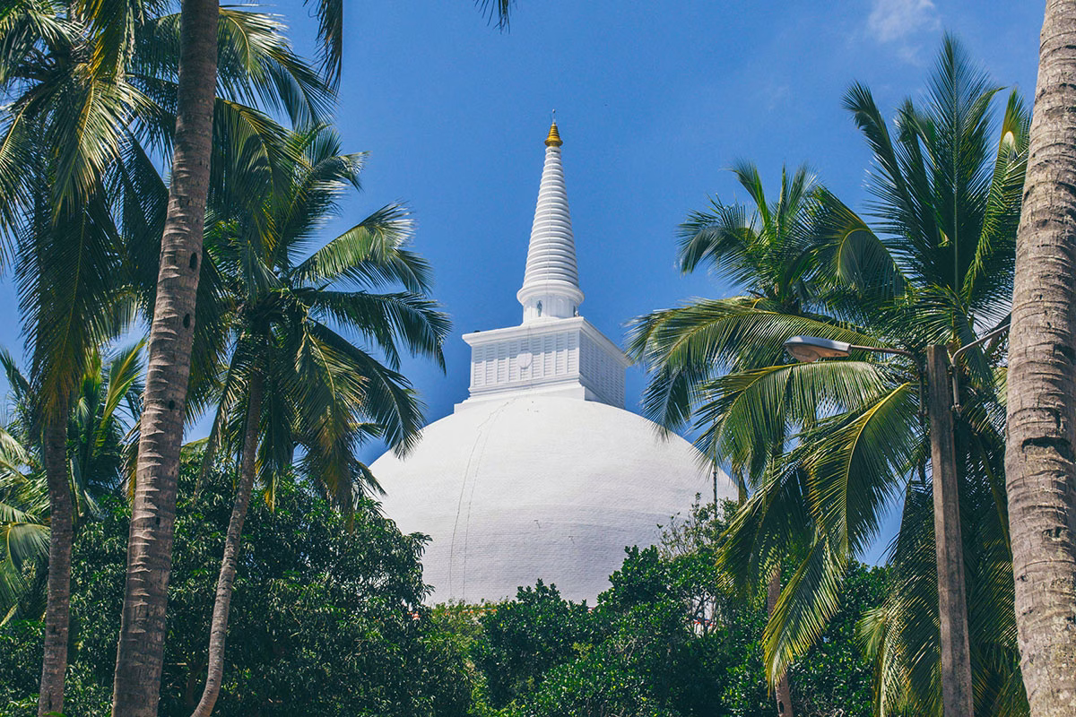 Entdeckungen im Kulturdreieck in Sri Lanka
