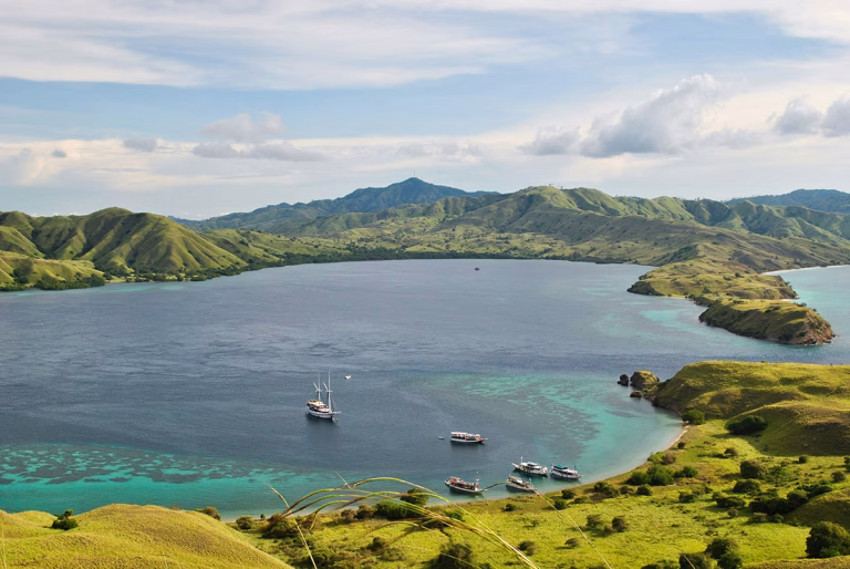 Komodo