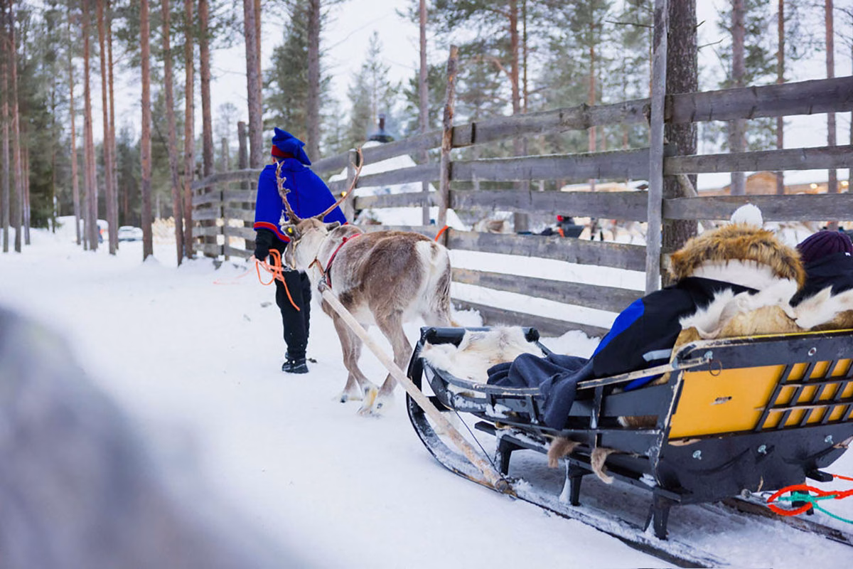 Rentierschlitten im Reindeer Manor im Winter