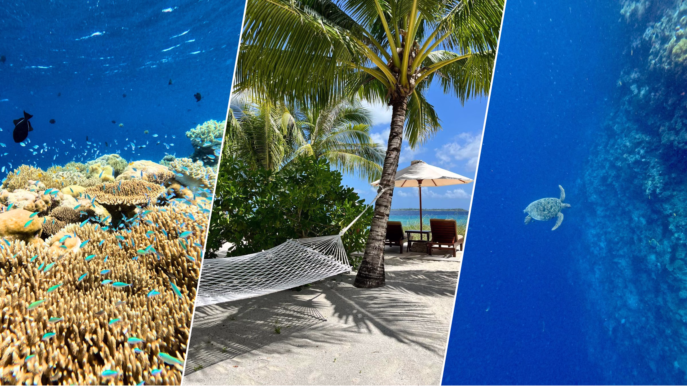 Reisebericht Indonesien – Wakatobi Island, Titelbild