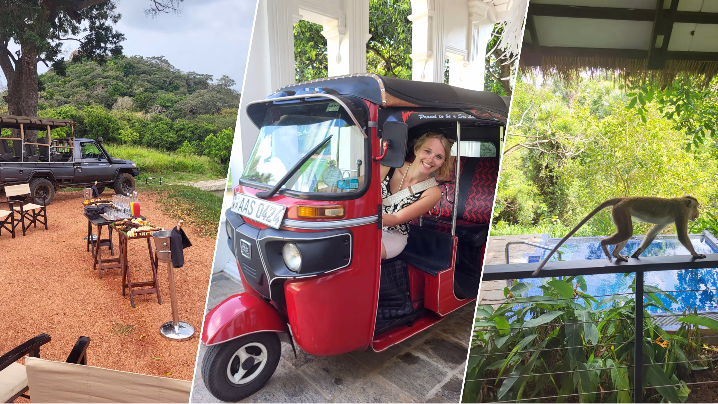 Title Reisetipp Familienabenteuer Sri Lanka