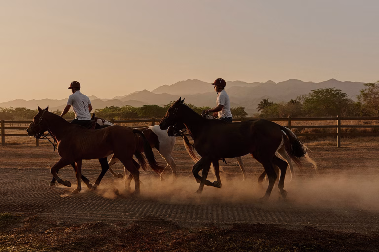 Reitstunde Polo-Lektion im Mandarina Polo & Equestrian Club.