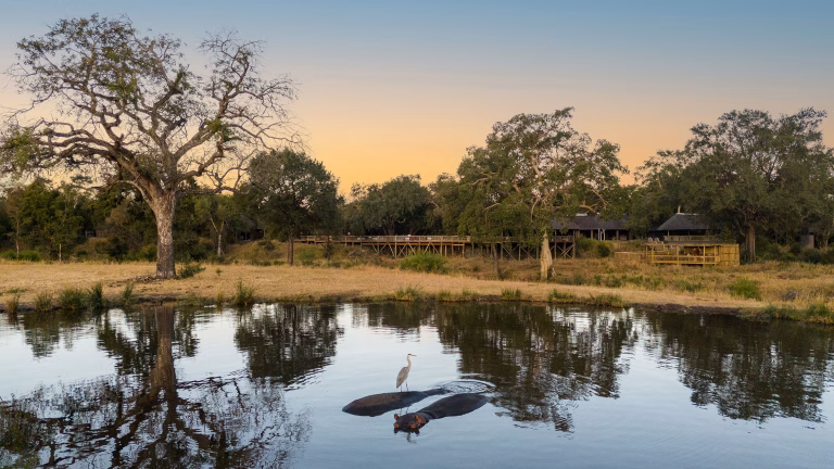 Sabi Sabi Bush Lodge