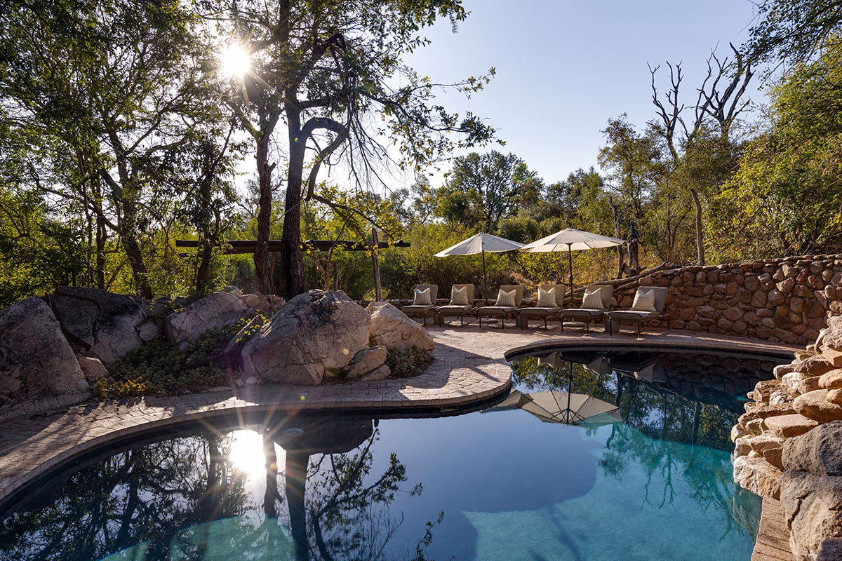Pool des Sabi Sabi Little Bush Camp