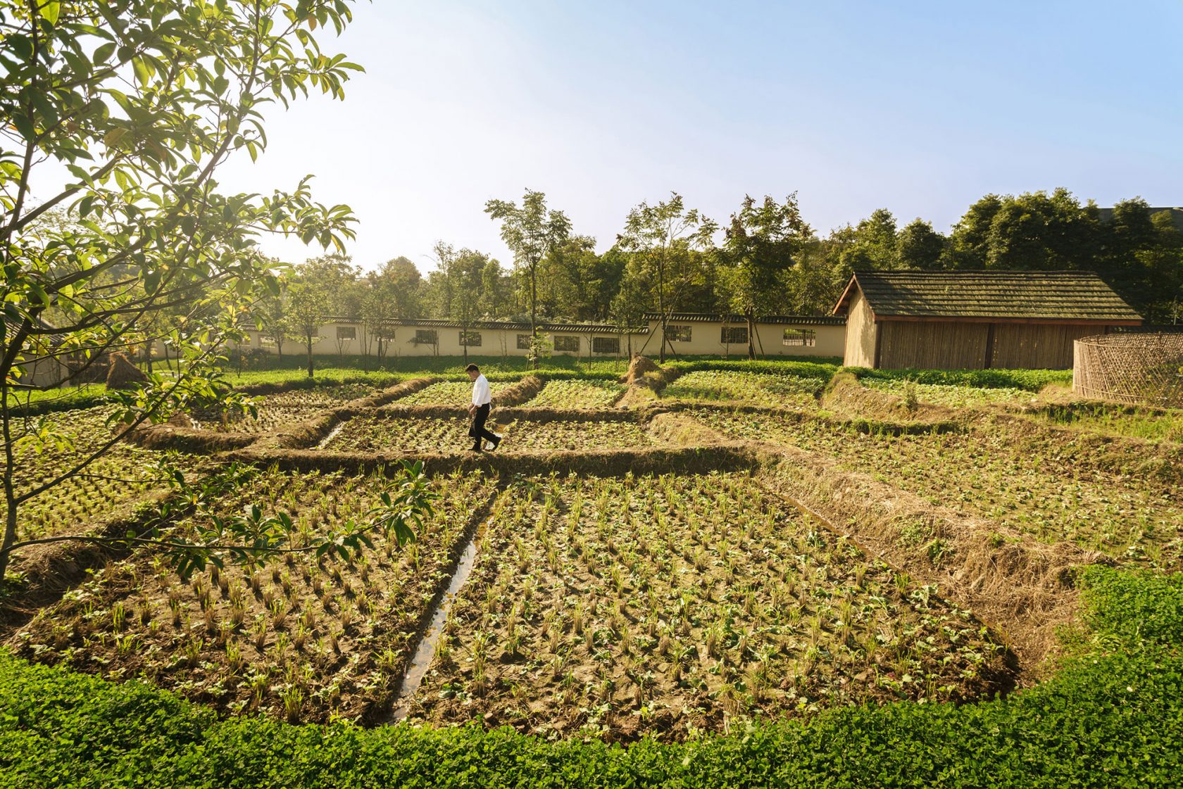 Six Senses Qing Cheng Mountain Rice Paddies at Organic Garden
