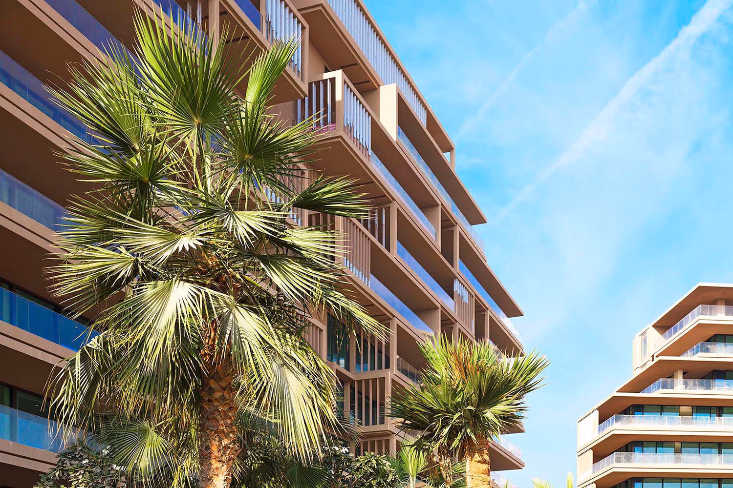 Außenansicht des Six Senses The Palm, bei der eine große Palme im Vordergrund die moderne Architektur des Gebäudekomplexes unter klarem blauem Himmel einrahmt
