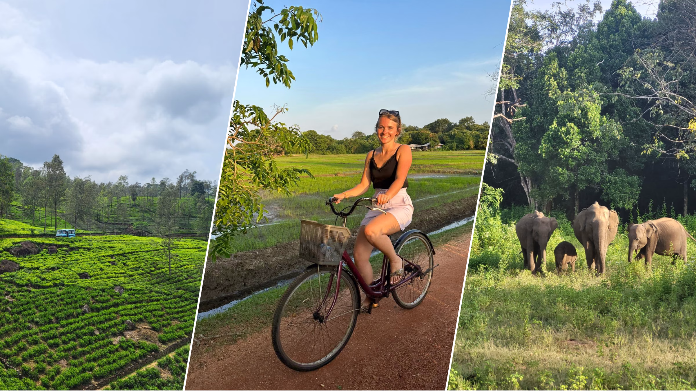Sri Lanka eine Vielseitige Insel Titelbild Collage