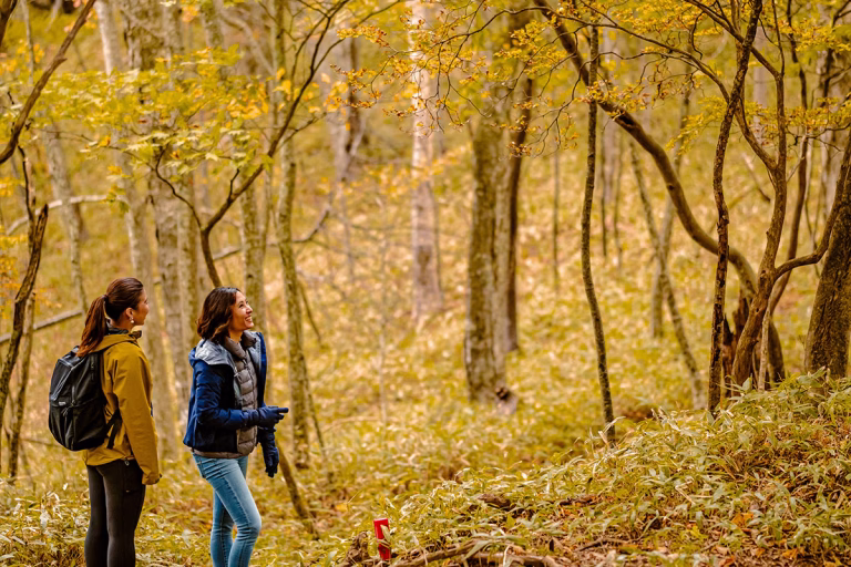 Chanokidaira Nature Hike