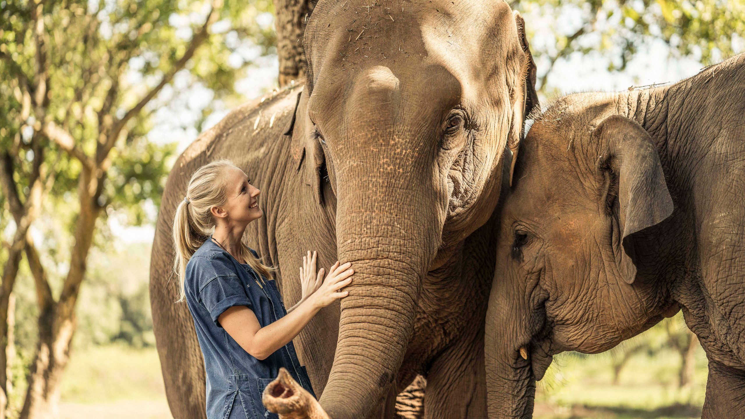 Blogbeitrag: Die 4 schönsten Luxus-Unterkünfte in Thailand | Anantara Golden Triangle
