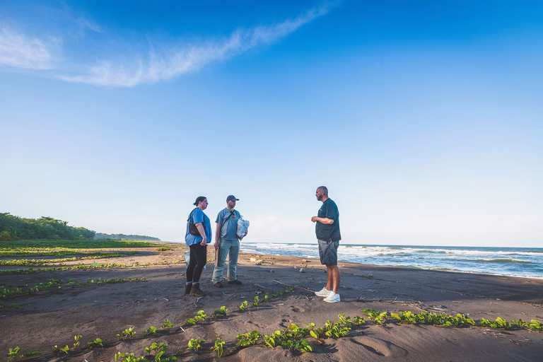 Beach Clean-up am Karibikstrand