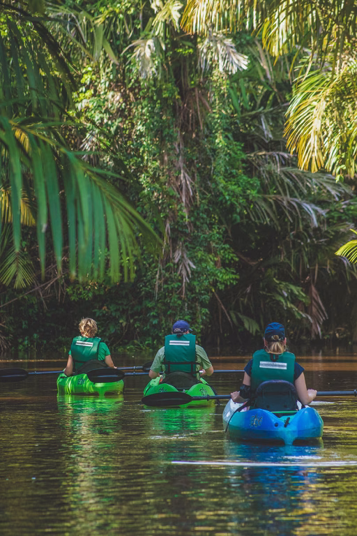 Kayaking durch die mystischen Kanäle