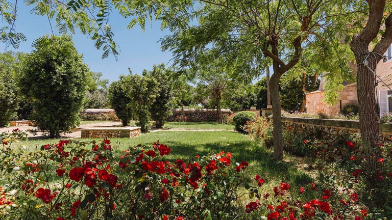 Garten geschmückt mit grünen und roten Pflanzen