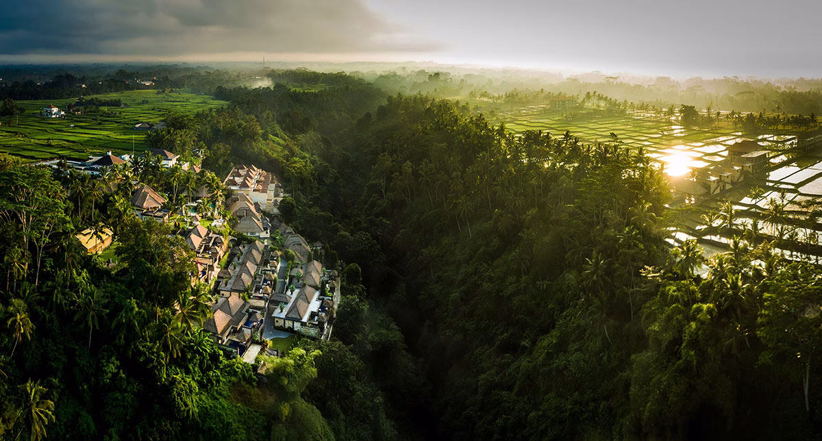 Eine weite Luftaufnahme des Viceroy Bali Resorts, das sich entlang einer tiefen, dicht bewaldeten Dschungelschlucht in Ubud erstreckt, flankiert von saftig grünen Reisterrassen im goldenen Licht der Morgensonne