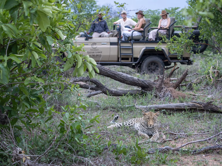 Gruppe genießt begleitete Safari