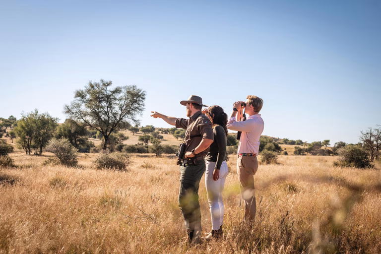 Walking Safari in der Waldeck Lodge