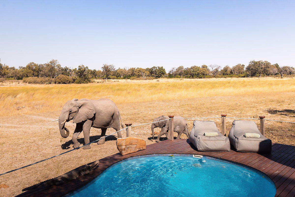 Pool des Chitabe Lediba